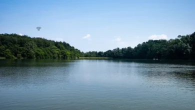 lake texoma should be capitalized