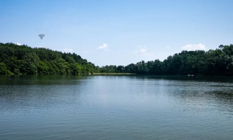 lake texoma should be capitalized